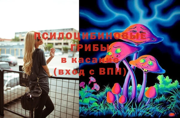 тгк Ростов