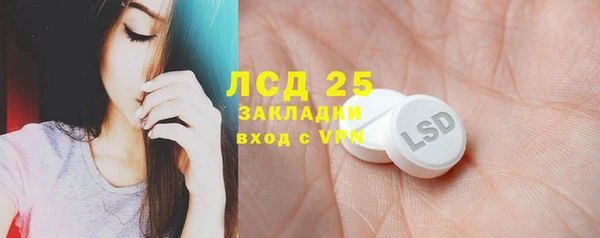 прущие грибы Абаза