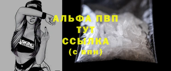 прущие грибы Абаза