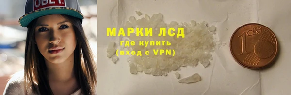 прущие грибы Абаза