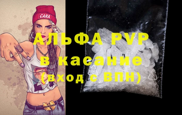 прущие грибы Абаза
