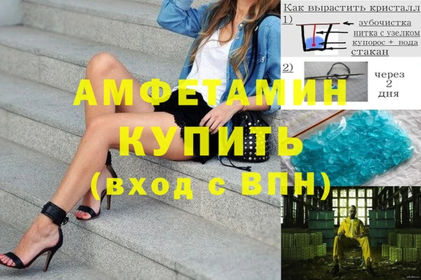 прущие грибы Абаза