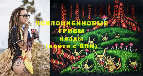 прущие грибы Абаза