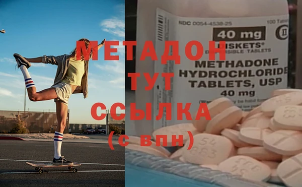 прущие грибы Абаза
