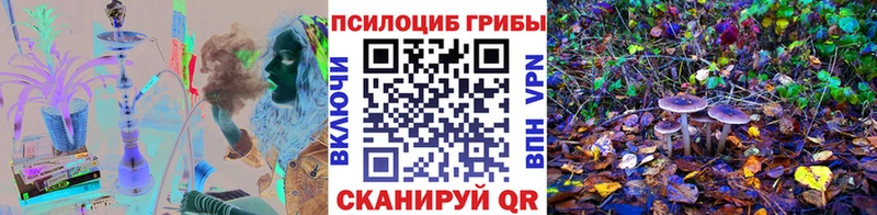 Галлюциногенные грибы Psilocybine cubensis  хочу наркоту  Новотроицк 