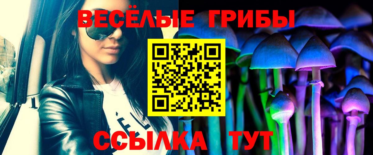 Новотроицк  Галлюциногенные грибы MAGIC MUSHROOMS  Вход с VPN 